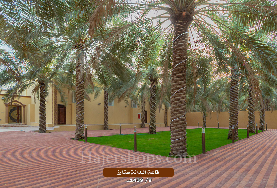 قاعة الدانة ستارز