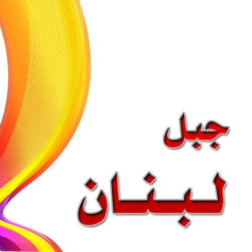 صورة