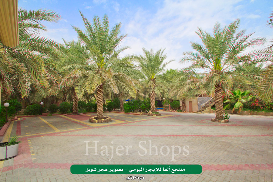 صورة