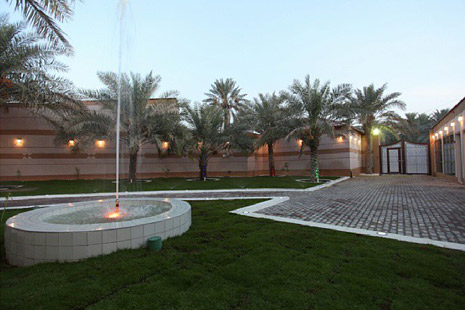 صورة