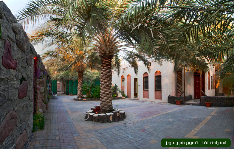 صورة