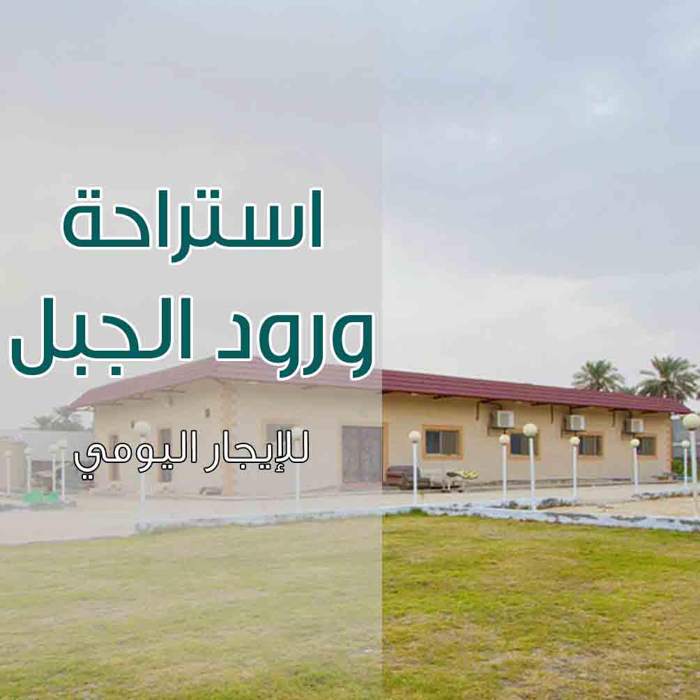 صورة