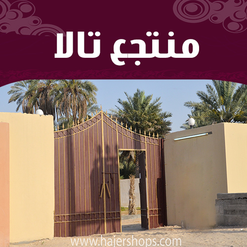صورة