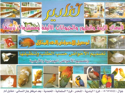 صورة